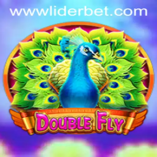 DoubleFly Game Overview: Rules and the Rise of 'Lider Bet' Integration